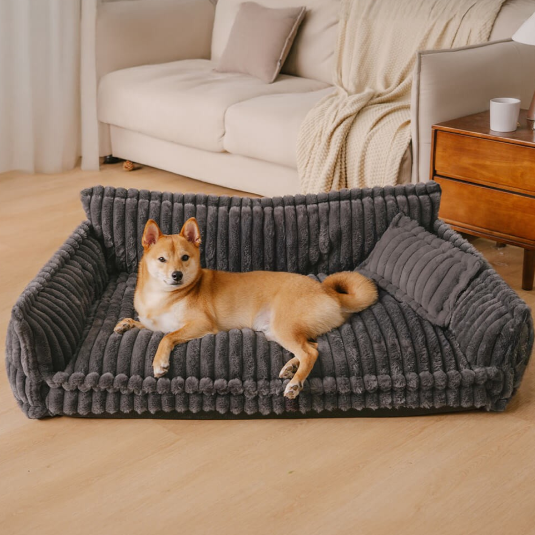 Contemporary Plush Dog Sofa Bed With Neck Support