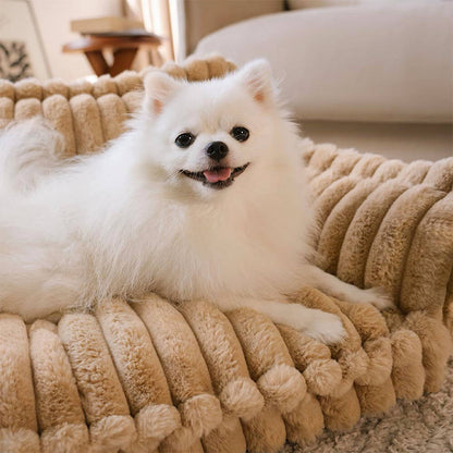 Contemporary Plush Dog Sofa Bed With Neck Support