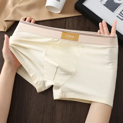 Noah Fitted Boxer Briefs Three-Piece Set | Solid Short Boxer Briefs